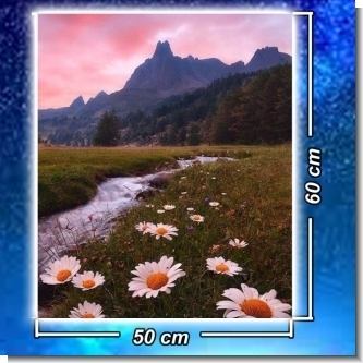 Lee el articulo completo ROTULO PVC 3MM. (50X60CMS) - FULL COLOR