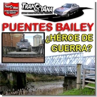 Read full article NEWS - Bailey Bridge ... War Hero?